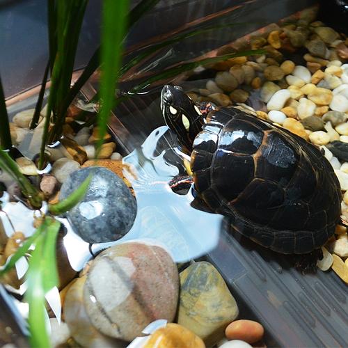 西藏塑料家用电器尺寸标准_西藏塑料家用电器尺寸标准是多少